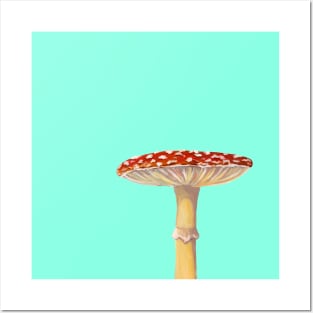 Mushroom Master Fly Agaric Posters and Art